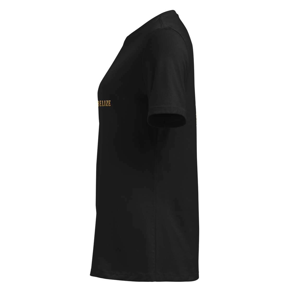 Left side view of Belizean pride women’s t-shirt in black
